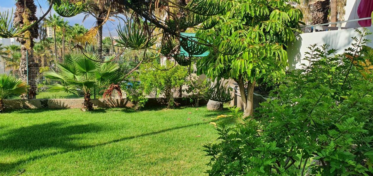 Adults Only Sunny Quiet Apartment In Center Of Las Americas Arona  Exteriér fotografie