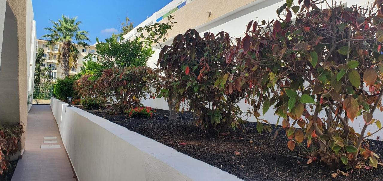 Adults Only Sunny Quiet Apartment In Center Of Las Americas Arona  Exteriér fotografie
