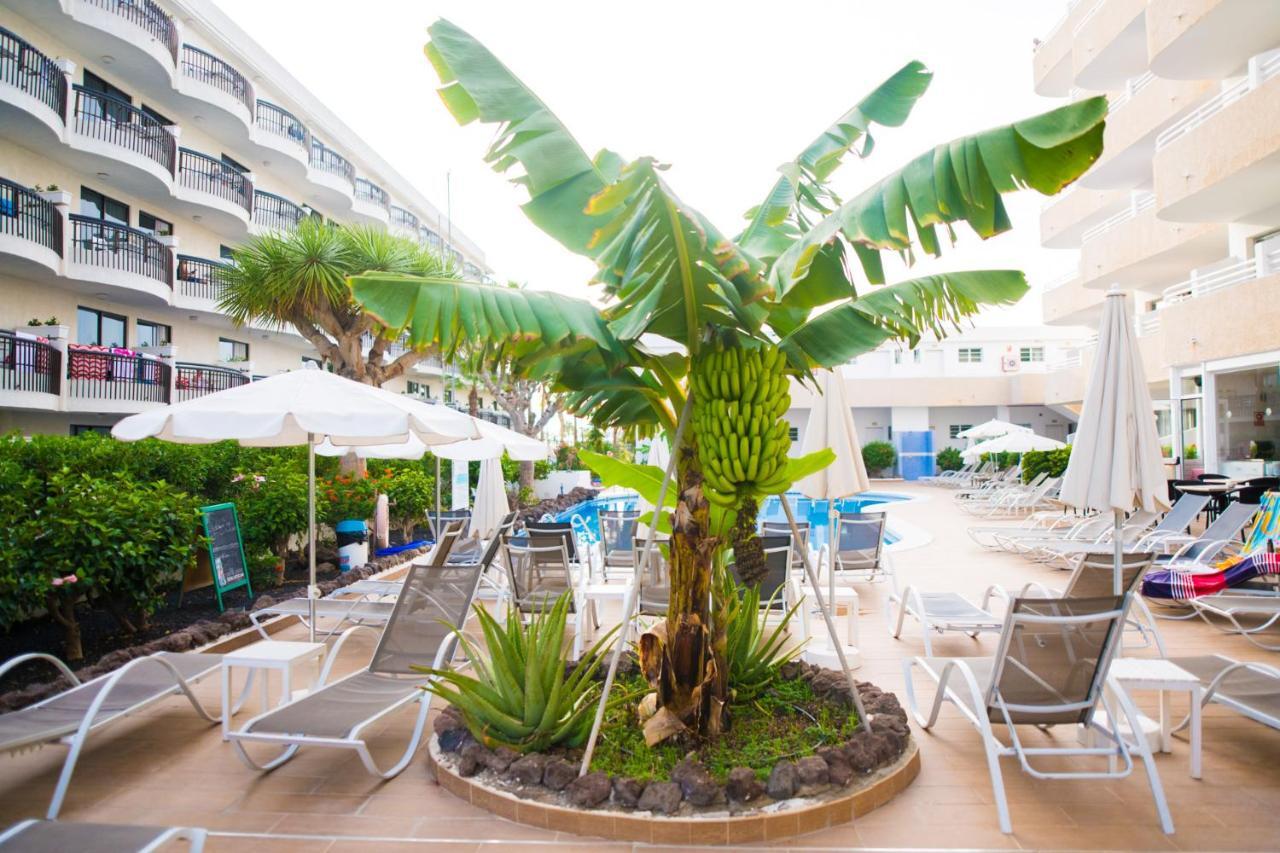 Adults Only Sunny Quiet Apartment In Center Of Las Americas Arona  Exteriér fotografie